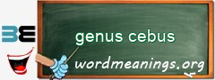 WordMeaning blackboard for genus cebus